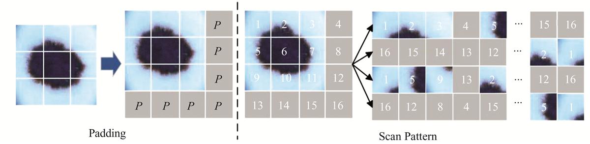 Fig. 3 Refer to the following caption and surrounding text.