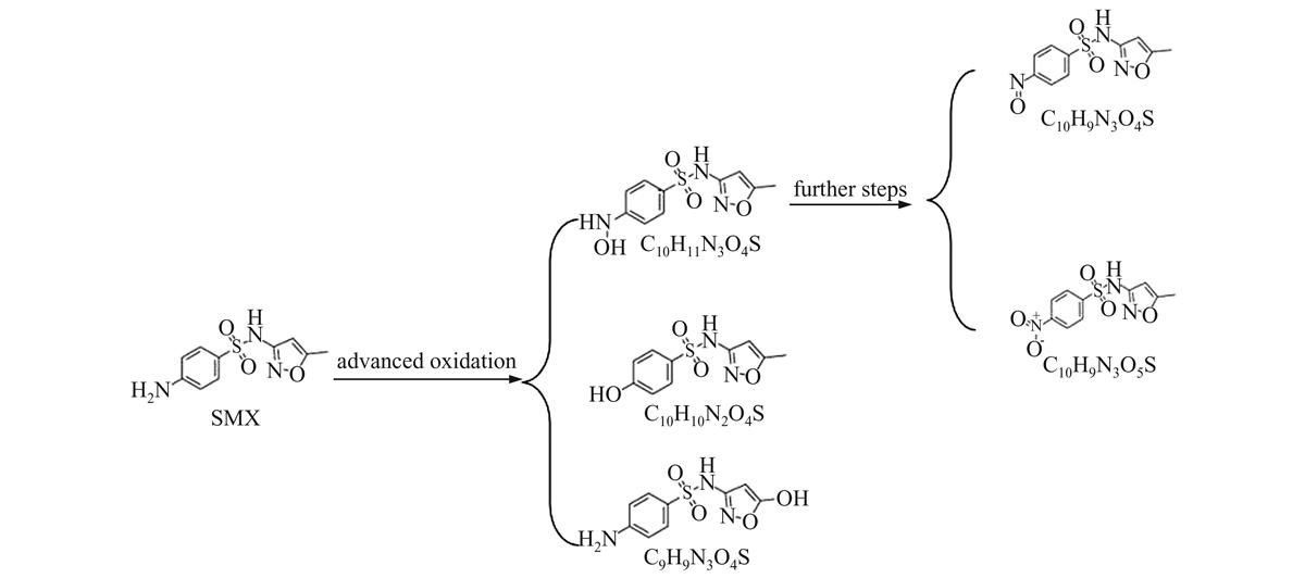 Fig. 10 Refer to the following caption and surrounding text.
