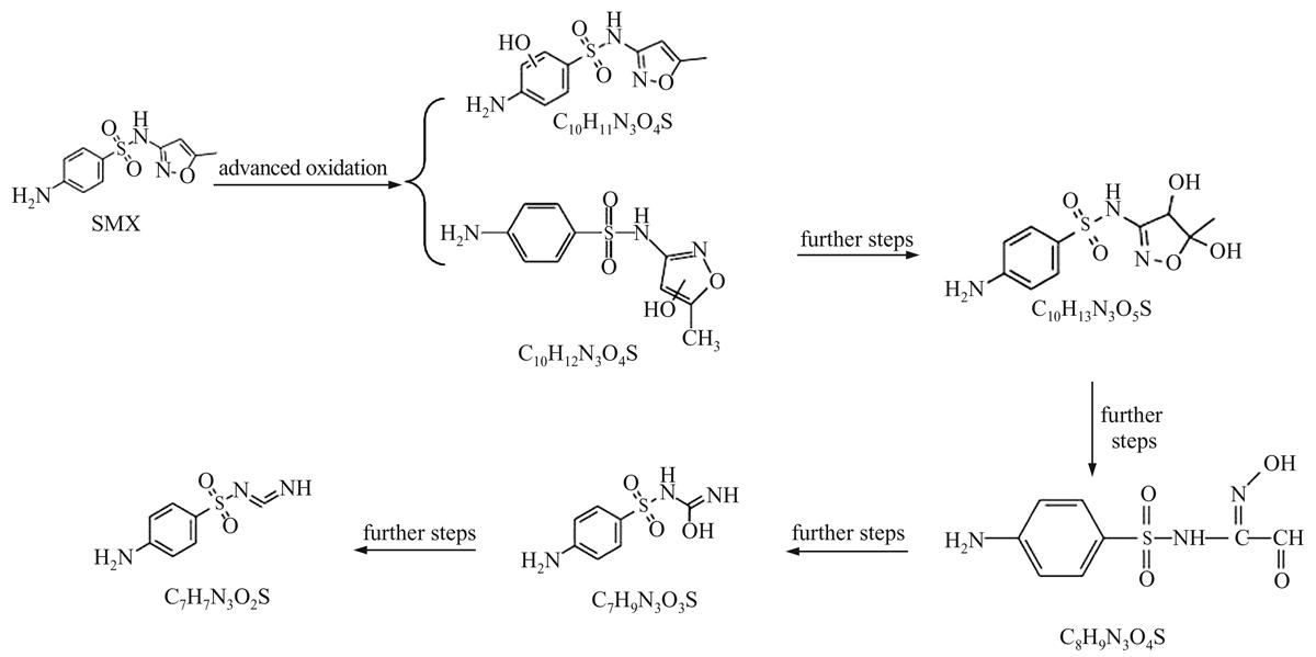 Fig. 11 Refer to the following caption and surrounding text.