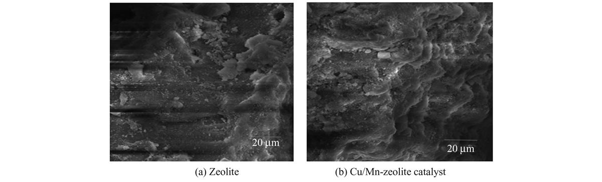 Fig. 2 Refer to the following caption and surrounding text.