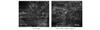 Thumbnail: Fig. 2 Refer to the following caption and surrounding text.