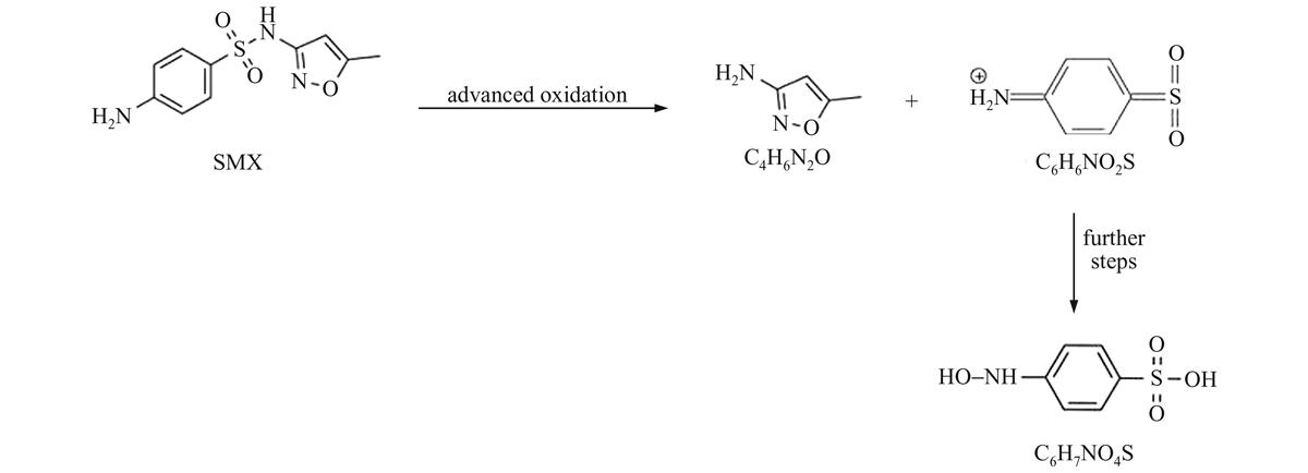 Fig. 9 Refer to the following caption and surrounding text.