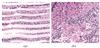 Thumbnail: Fig. 2 Refer to the following caption and surrounding text.
