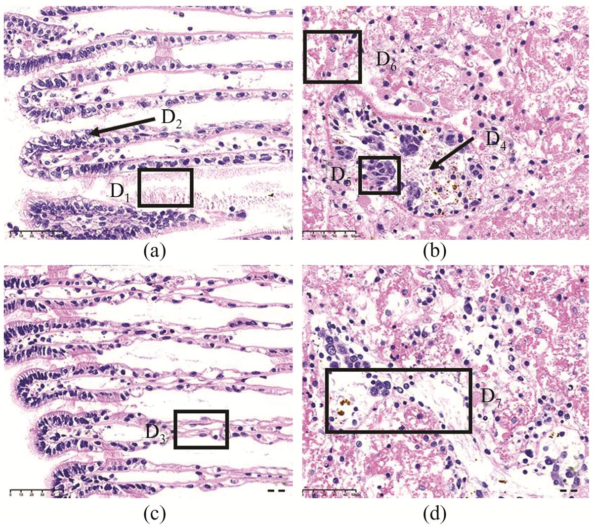 Fig. 3 Refer to the following caption and surrounding text.