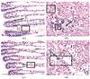 Thumbnail: Fig. 3 Refer to the following caption and surrounding text.