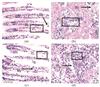 Thumbnail: Fig. 4 Refer to the following caption and surrounding text.