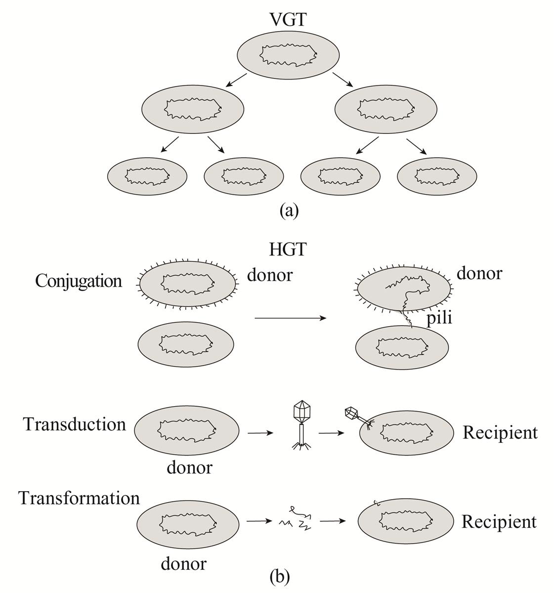 Fig. 1 Refer to the following caption and surrounding text.