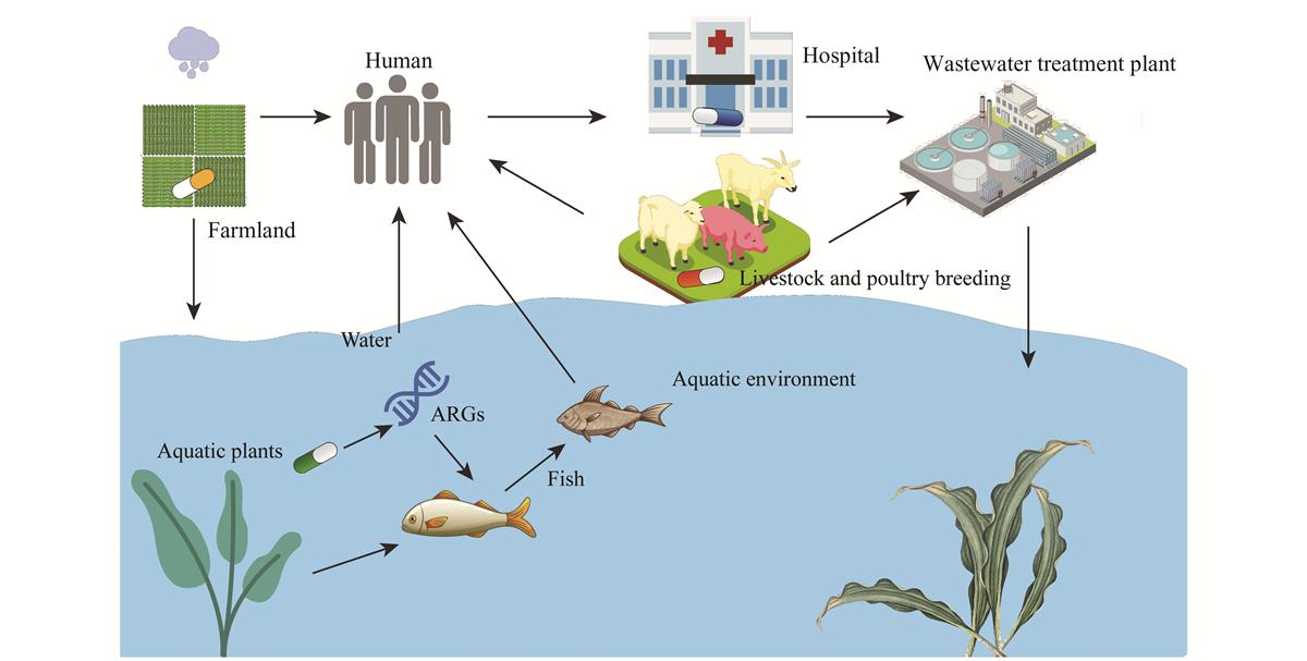 Fig. 2 Refer to the following caption and surrounding text.