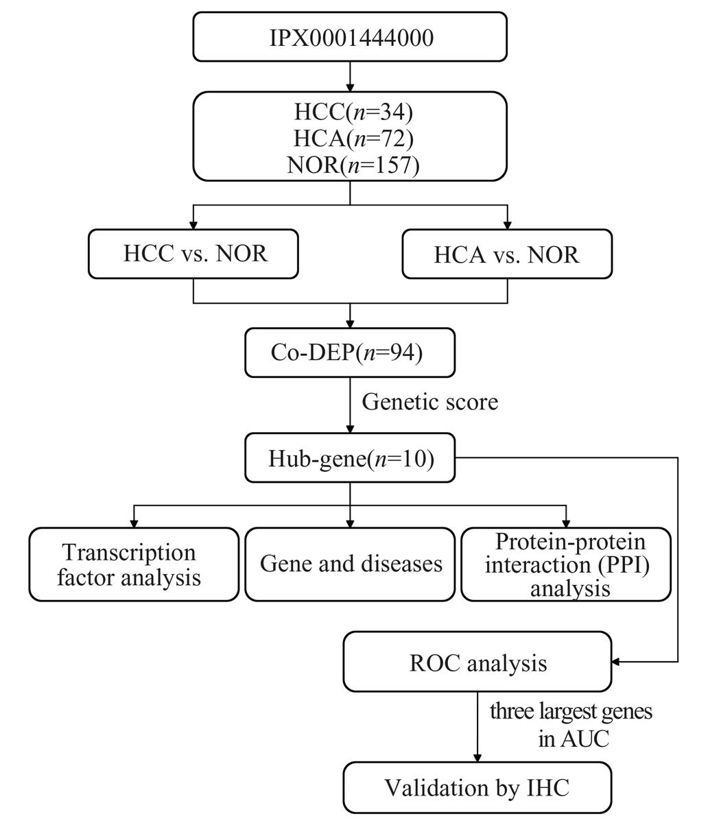 Fig. 1 Refer to the following caption and surrounding text.