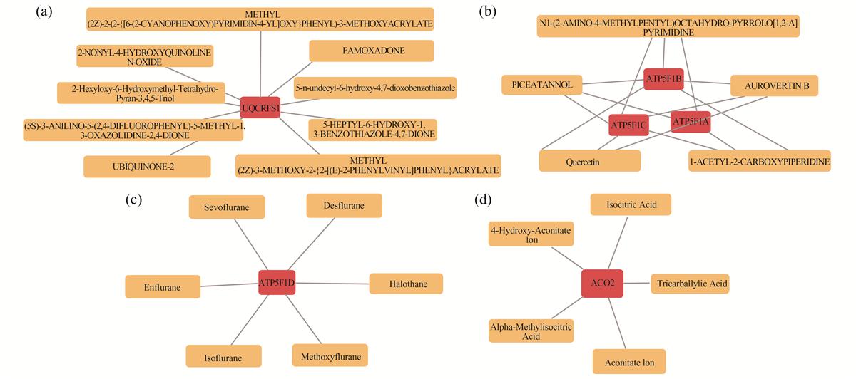 Fig. 11 Refer to the following caption and surrounding text.