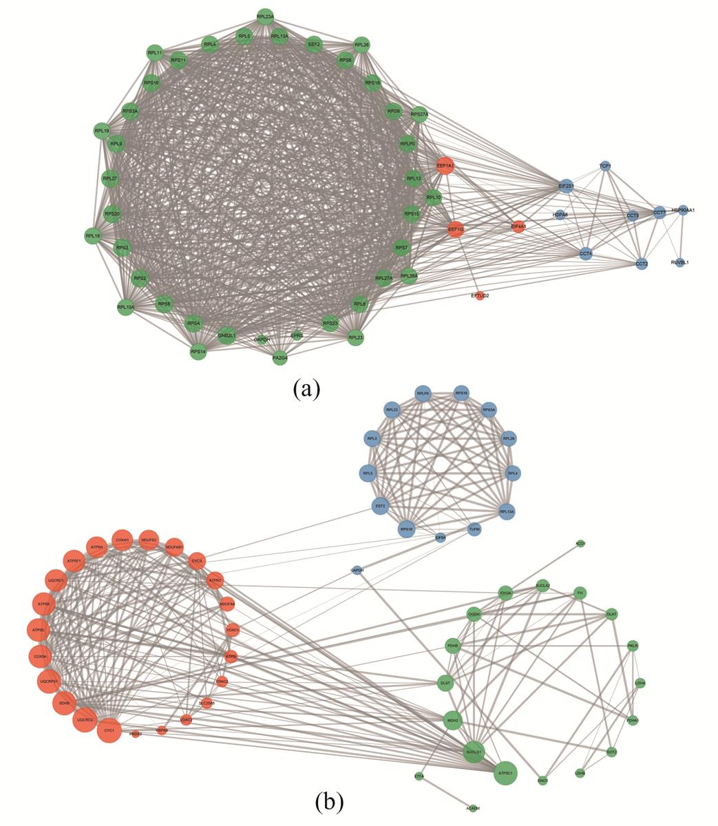 Fig. 6 Refer to the following caption and surrounding text.