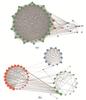 Thumbnail: Fig. 6 Refer to the following caption and surrounding text.