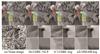 Thumbnail: Fig. 5 Refer to the following caption and surrounding text.