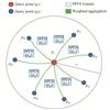 Thumbnail: Fig. 2 Refer to the following caption and surrounding text.