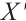 Mathematical equation